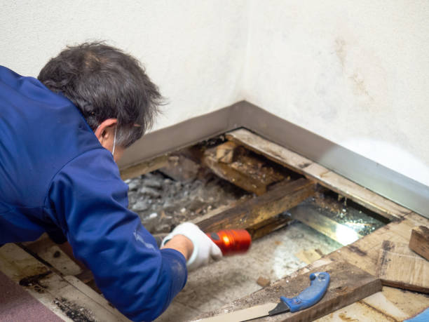 Best Crawl Space Mold Removal  in Jenks, OK