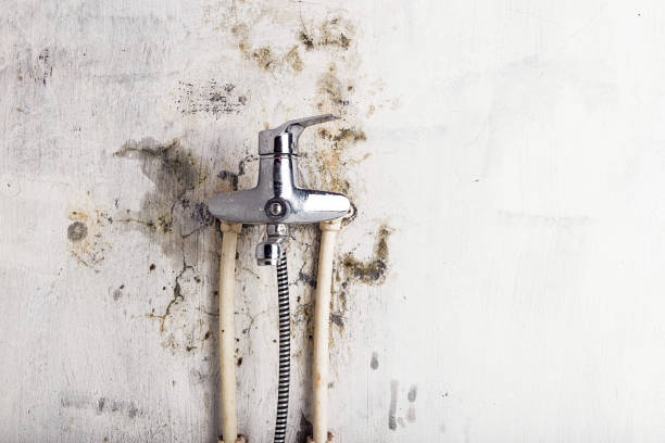 Best Emergency Mold Removal  in Jenks, OK