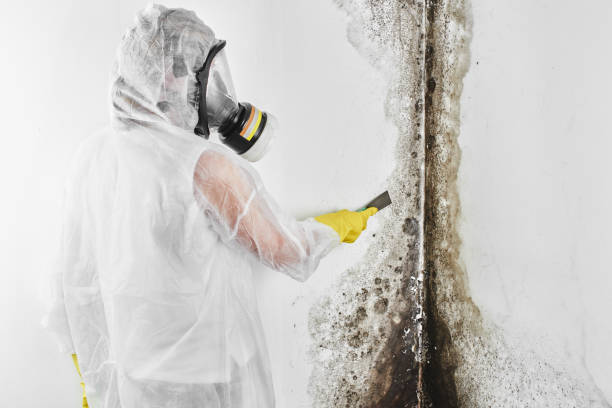 Best Certified Mold Removal  in Jenks, OK