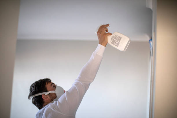 Best Mold Cleaning Services  in Jenks, OK