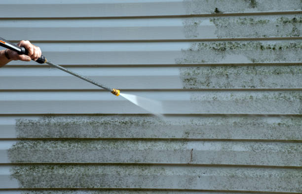 Home Mold Removal in Jenks, OK