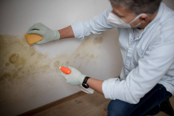 Best Mold Testing  in Jenks, OK