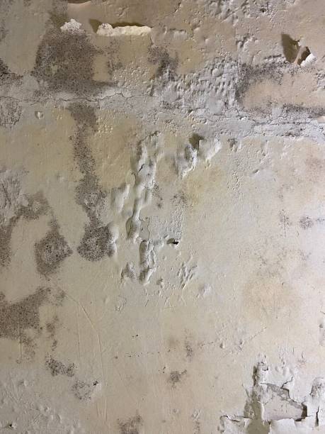 Crawl Space Mold Removal in Jenks, OK