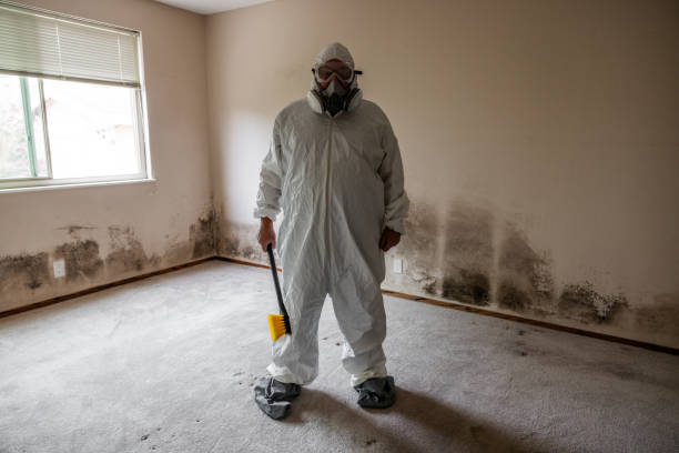 Best Black Mold Removal  in Jenks, OK