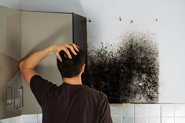 Best Mold Inspection  in Jenks, OK