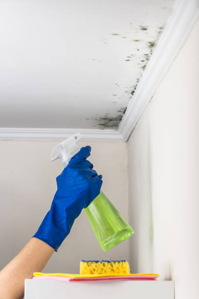 Best Home Mold Removal  in Jenks, OK