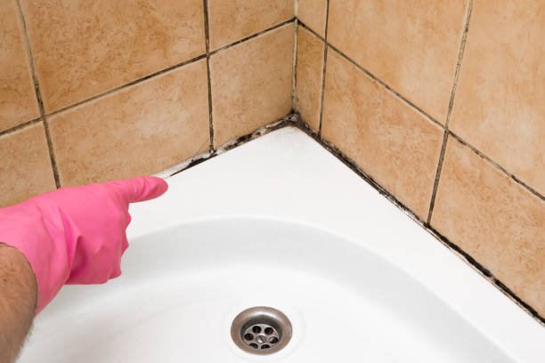 Best Mold Testing  in Jenks, OK